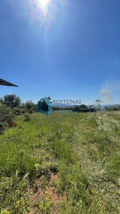 Οικόπεδο 12.000 τ.μ. για πώληση, Αχαΐα, Φαρές