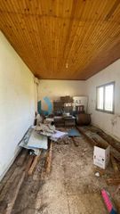 Οικόπεδο 12.000 τ.μ. για πώληση, Αχαΐα, Φαρές-thumb-11