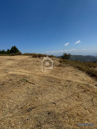 Land plot 1.117 sqm for sale, Corinthia, Xilokastro