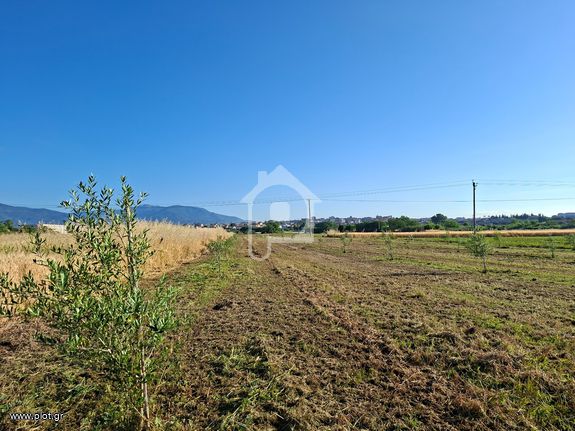 Αγροτεμάχια 4.694 τ.μ. για πώληση, Πέλλα, Γιαννιτσά