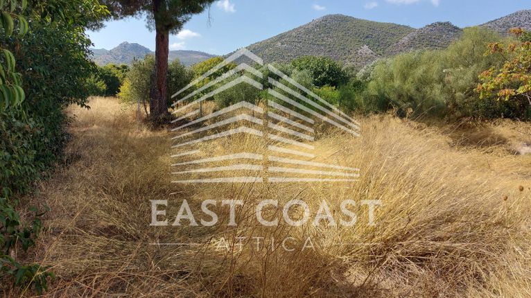Αποθήκη 200 τ.μ. για ενοικίαση, Αθήνα - Ανατολικά Προάστια, Νέα Μάκρη