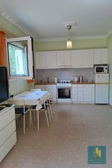 Βίλλα 450 τ.μ. για πώληση, Εύβοια, Ερέτρια-thumb-3