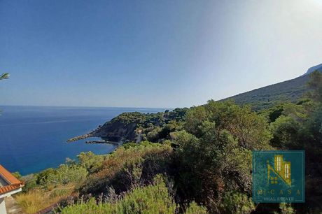 Αγροτεμάχια 39.000 τ.μ. για πώληση