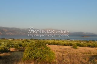Οικόπεδο 4.157 τ.μ. για πώληση, Φωκίδα, Γαλαξίδι-thumb-4