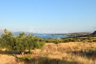 Οικόπεδο 4.157 τ.μ. για πώληση, Φωκίδα, Γαλαξίδι-thumb-3