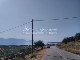 Οικόπεδο 4.157 τ.μ. για πώληση, Φωκίδα, Γαλαξίδι-thumb-7