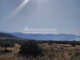 Οικόπεδο 4.157 τ.μ. για πώληση, Φωκίδα, Γαλαξίδι-thumb-14