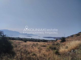 Οικόπεδο 4.157 τ.μ. για πώληση, Φωκίδα, Γαλαξίδι-thumb-9