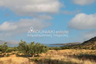 Οικόπεδο 4.157 τ.μ. για πώληση, Φωκίδα, Γαλαξίδι-thumb-2