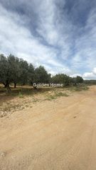 Οικόπεδο 10.000 τ.μ. για ενοικίαση, Ν. Ηρακλείου, Καστέλλι-thumb-10