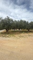Οικόπεδο 10.000 τ.μ. για ενοικίαση, Ν. Ηρακλείου, Καστέλλι-thumb-17