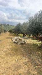 Οικόπεδο 10.000 τ.μ. για ενοικίαση, Ν. Ηρακλείου, Καστέλλι-thumb-12