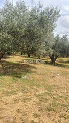 Οικόπεδο 10.000 τ.μ. για ενοικίαση, Ν. Ηρακλείου, Καστέλλι-thumb-15