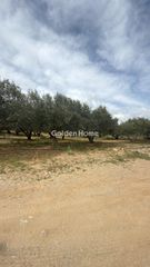 Οικόπεδο 10.000 τ.μ. για ενοικίαση, Ν. Ηρακλείου, Καστέλλι-thumb-7
