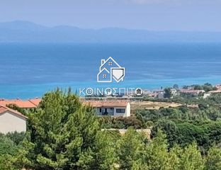 Αγροτεμάχια 4.000 τ.μ. για πώληση