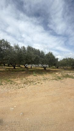 Οικόπεδο 10.000 τ.μ. για ενοικίαση, Ν. Ηρακλείου, Καστέλλι