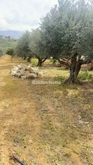 Οικόπεδο 10.000 τ.μ. για ενοικίαση, Ν. Ηρακλείου, Καστέλλι-thumb-9