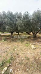 Οικόπεδο 10.000 τ.μ. για ενοικίαση, Ν. Ηρακλείου, Καστέλλι-thumb-1