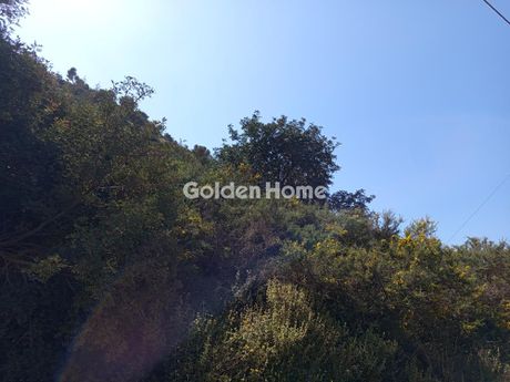 Οικόπεδο 8.050 τ.μ. για πώληση