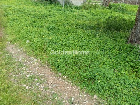 Land plot 550 sqm for rent