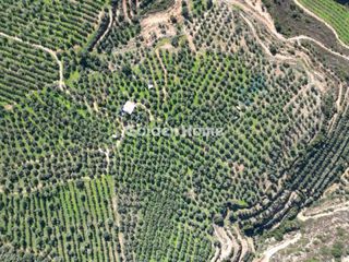 Αγροτεμάχια 170.000 τ.μ. για πώληση