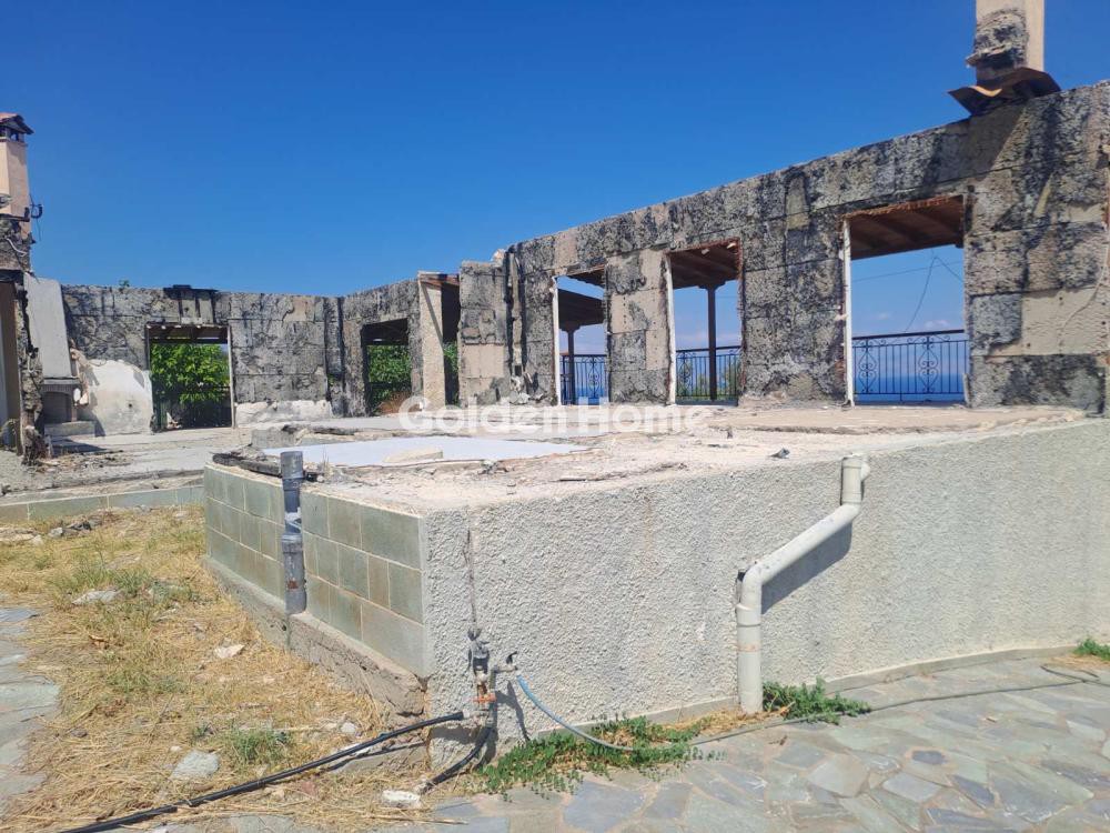 Οικόπεδο 8.000 τ.μ. προς πώληση, Θεοδωραίικα