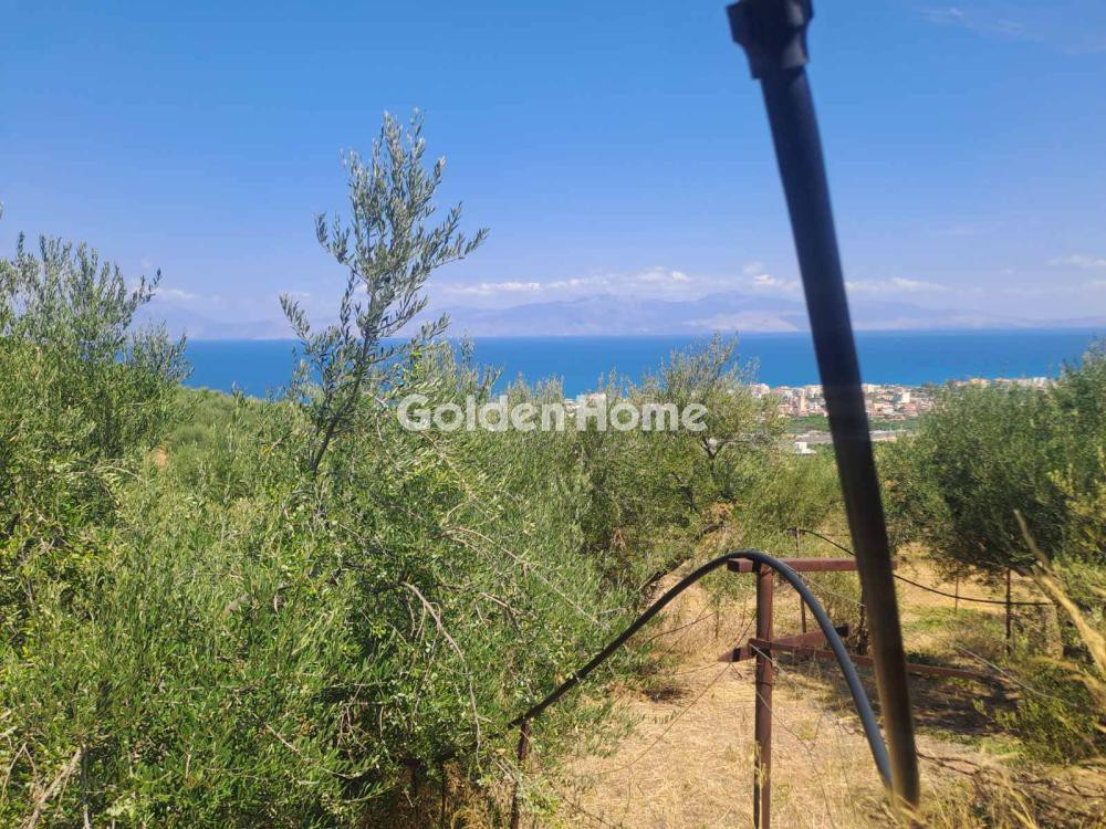Οικόπεδο 8.000 τ.μ. προς πώληση, Θεοδωραίικα
