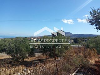 Οικόπεδο 3.597 τ.μ. για πώληση, Ν. Χανίων, Αρμενοί-thumb-7