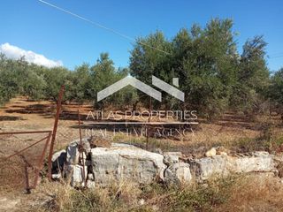 Οικόπεδο 3.597 τ.μ. για πώληση, Ν. Χανίων, Αρμενοί-thumb-5