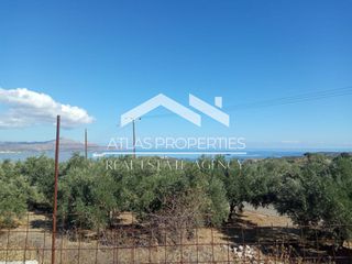 Οικόπεδο 3.597 τ.μ. για πώληση
