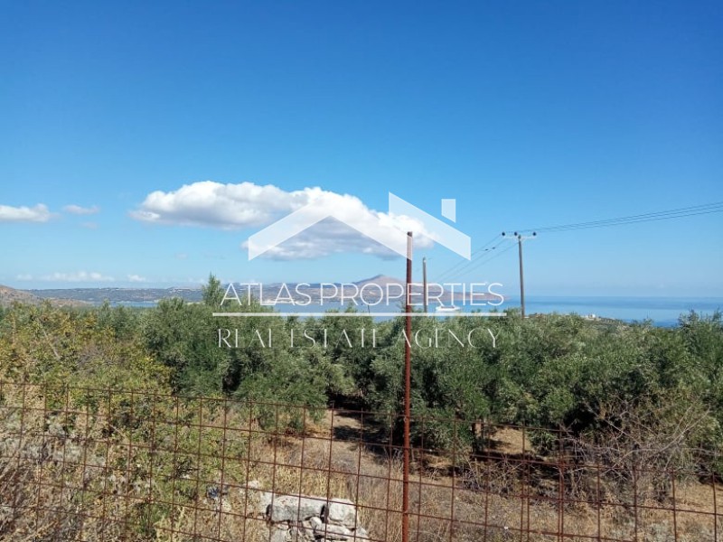 Οικόπεδο 3.597 τ.μ. προς πώληση, Τσιβαράς