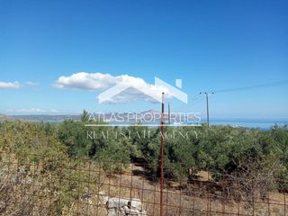 Οικόπεδο 3.597 τ.μ. για πώληση, Ν. Χανίων, Αρμενοί-thumb-2