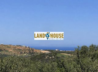 Αγροτεμάχια 2.348 τ.μ. για πώληση