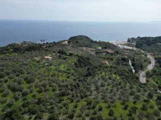 Οικόπεδο 6.000 τ.μ. για πώληση