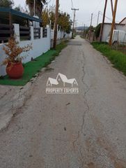 Αγροτεμάχια 2.000 τ.μ. για πώληση