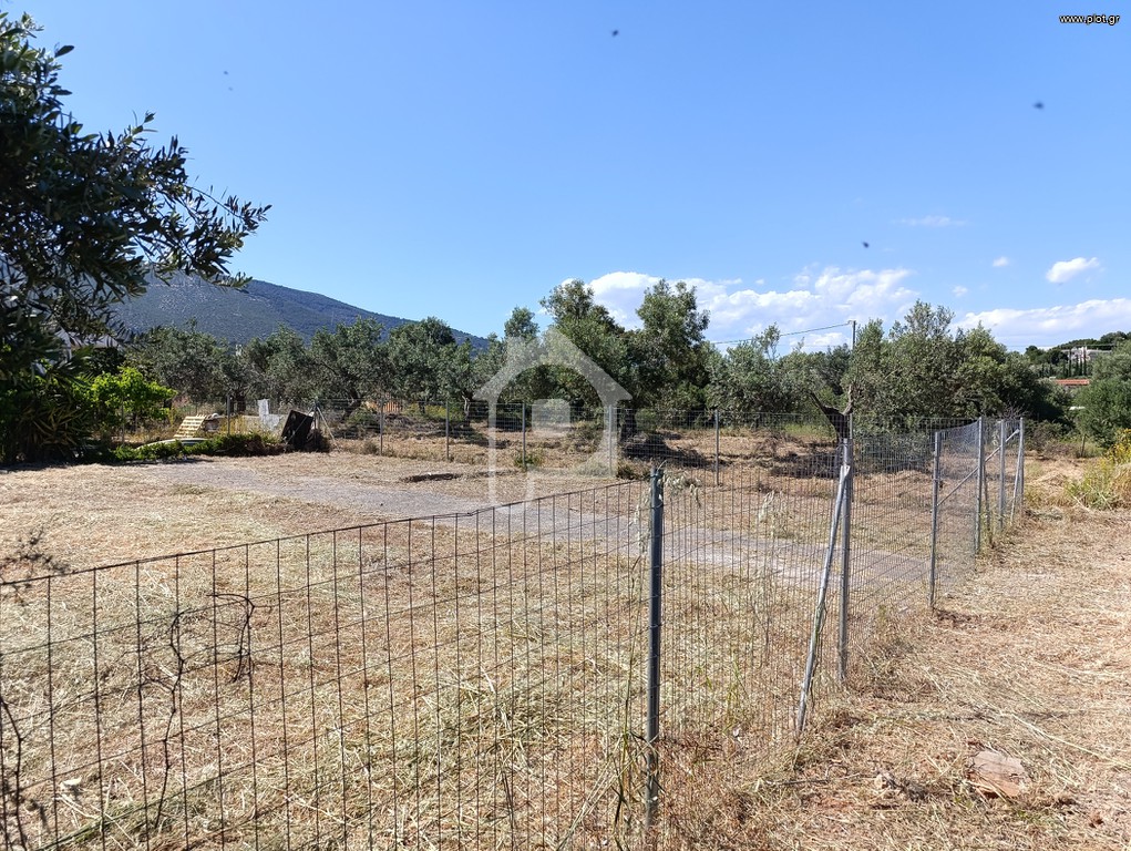 Οικόπεδο 274 τ.μ. προς πώληση, Άνοιξη Παιανίας