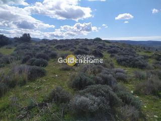 Οικόπεδο 5.127 τ.μ. για πώληση