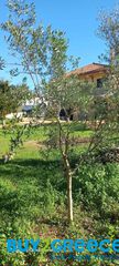 Μονοκατοικία 154 τ.μ. για πώληση, Μεσσηνία, Νέστορας-thumb-10