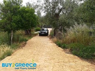 Μονοκατοικία 154 τ.μ. για πώληση, Μεσσηνία, Νέστορας-thumb-11