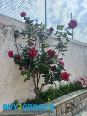 Μονοκατοικία 154 τ.μ. για πώληση, Μεσσηνία, Νέστορας-thumb-15
