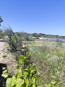 Αγροτεμάχια 950 τ.μ. για πώληση