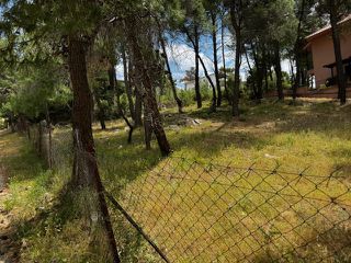 Οικόπεδο 813 τ.μ. για πώληση