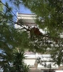Διαμέρισμα 90 τ.μ. για ενοικίαση
