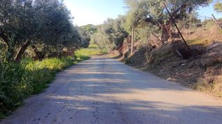 Οικόπεδο 1.000 τ.μ. για πώληση