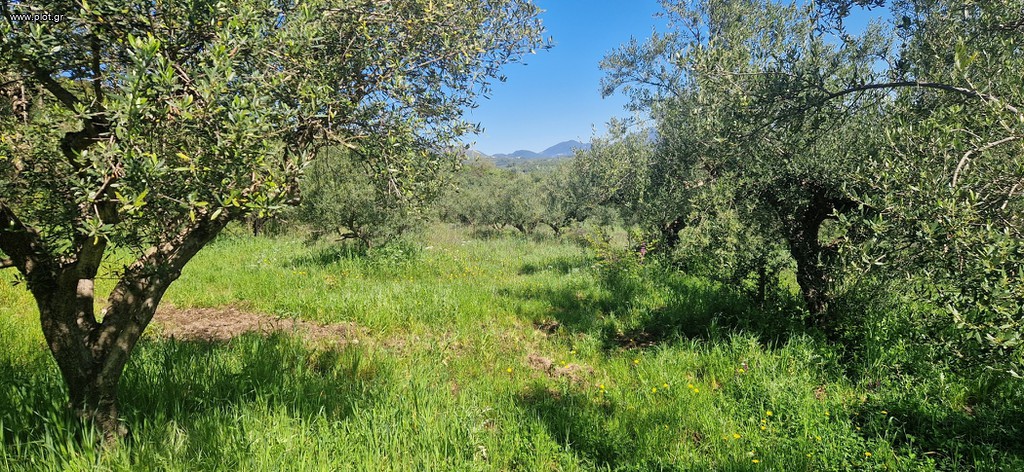 Αγροτεμάχια 15.000 τ.μ. πρός πώληση, Μεσσηνία, Βουφράδα