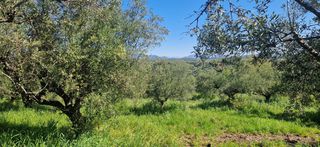 Αγροτεμάχια 15.000 τ.μ. για πώληση, Μεσσηνία, Βουφράδα-thumb-3