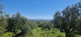 Αγροτεμάχια 15.000 τ.μ. για πώληση, Μεσσηνία, Βουφράδα-thumb-7