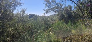 Αγροτεμάχια 15.000 τ.μ. για πώληση, Μεσσηνία, Βουφράδα-thumb-16