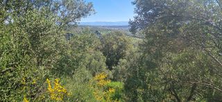 Αγροτεμάχια 15.000 τ.μ. για πώληση, Μεσσηνία, Βουφράδα-thumb-18