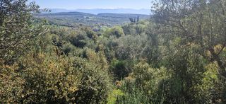 Αγροτεμάχια 15.000 τ.μ. για πώληση, Μεσσηνία, Βουφράδα-thumb-19